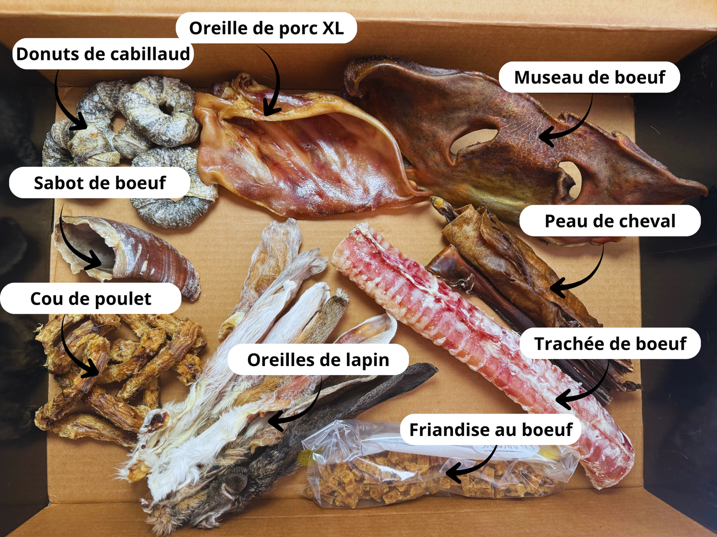 Box Mastication Naturelle pour Chien – Friandises 100% Naturelles
