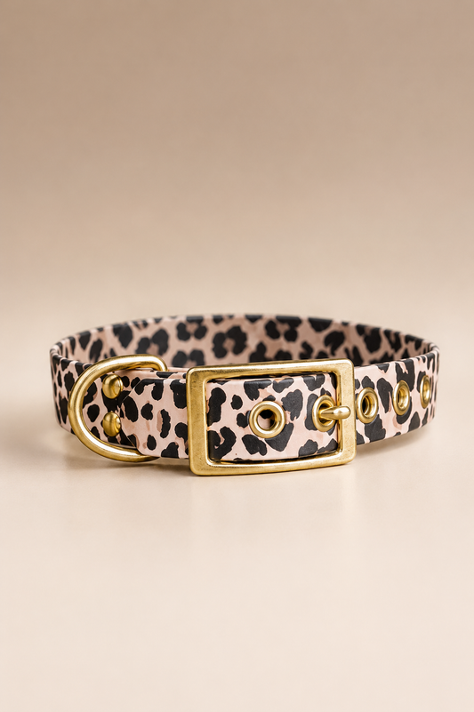 Collier Biothane Imprimé