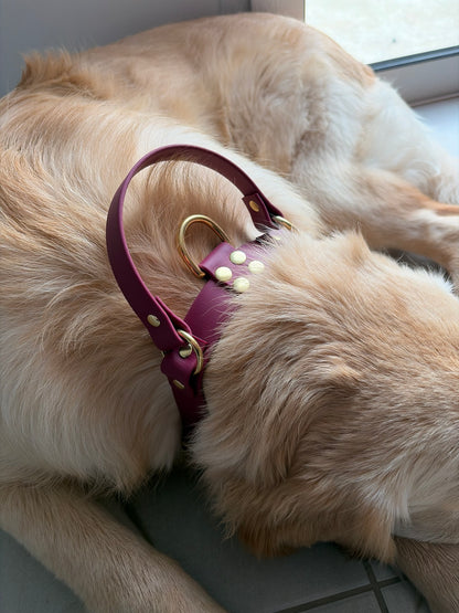 Collier poignée boucle ceinture