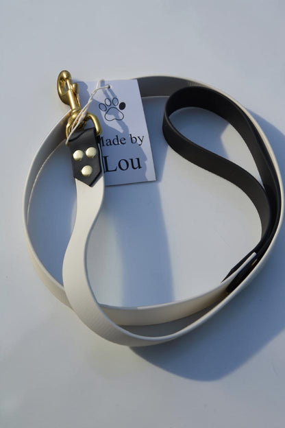 Laisse simple Bicolore