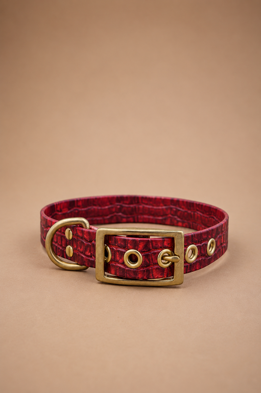 Collier Biothane Imprimé