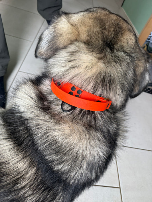 Collier poignée clip