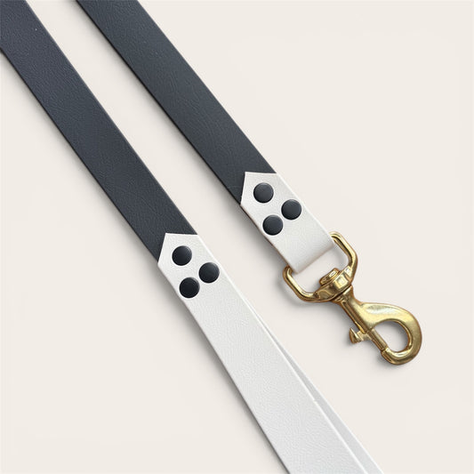 Laisse simple Bicolore